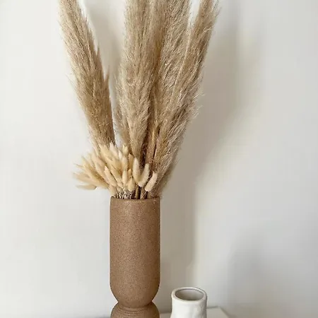 Le Petit Boheme - Cocon Rochelais *